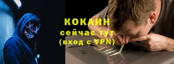 гашик Арсеньев