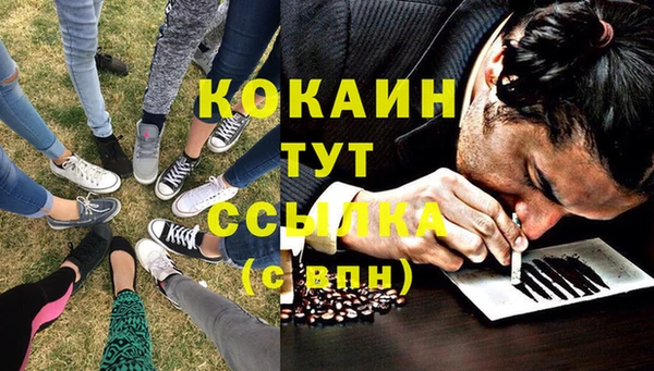 гашик Арсеньев